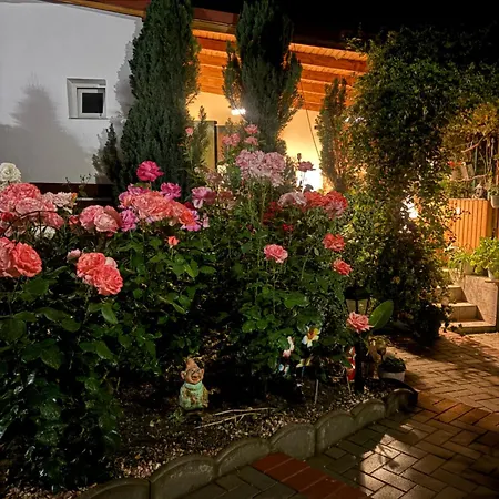Color Home Hermannstadt 1 Exterior photo
