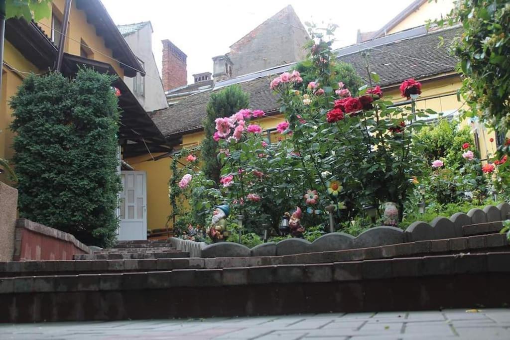 Color 1 Sibiu
